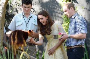 Kate and William with a tree kangaroo - Taronga zoo visit - royal tour.jpg